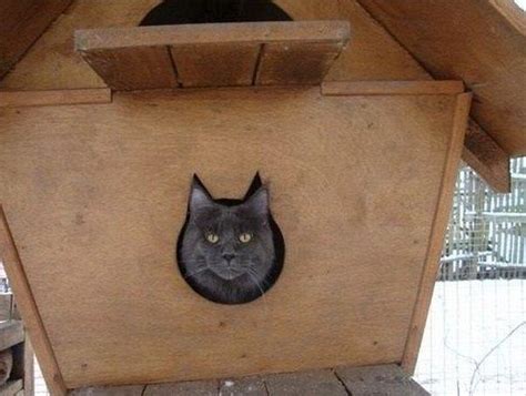 Уличный домик для кошки