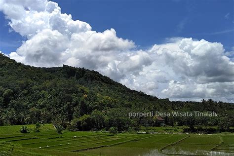 Tempat Wisata Di Kulon Progo Newstempo