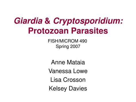 PPT Giardia Cryptosporidium Protozoan Parasites PowerPoint