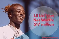 Lil U Z I Vert Net Worth