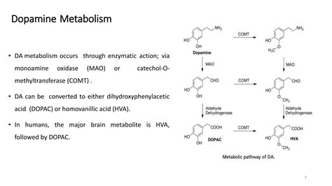 Anti Parkinsonian Drugs Medicinal Chemistry Ppt