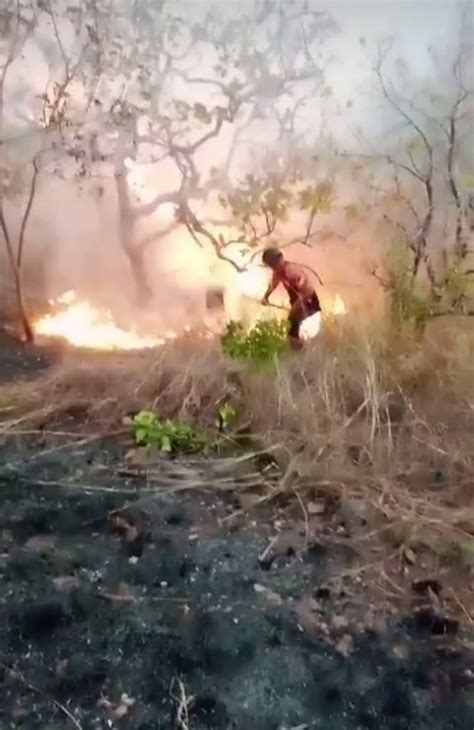 Incendio Forestal Consumió Más De 100 Hectáreas Del Parque Nacional