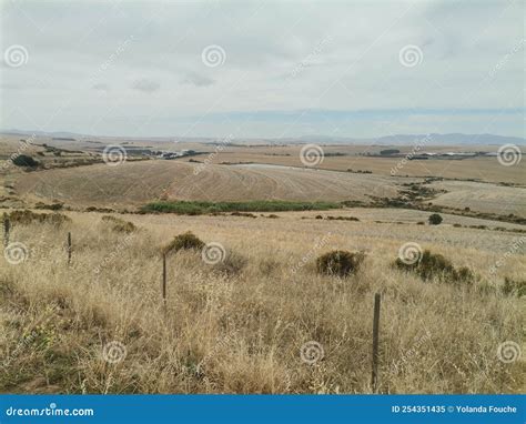 Durbanville hills stock image. Image of colour, plateau - 254351435