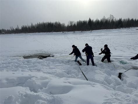 Moose Trapped In Chena River Freed By Volunteers Troopers Local News