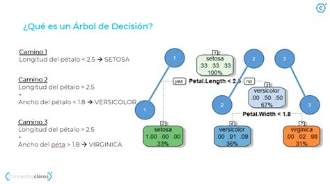 Qué es un Árbol de Decisión y cómo interpretarlo