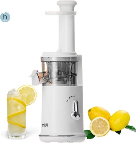 Thuys Slowjuicer Ijsmaker Sapcentrifuge Ijs Maken Gezond Voor