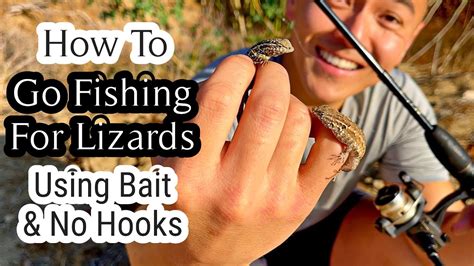 The Only Fishing For Lizards Video On Youtube No Hooks Using Bait🎣🦎