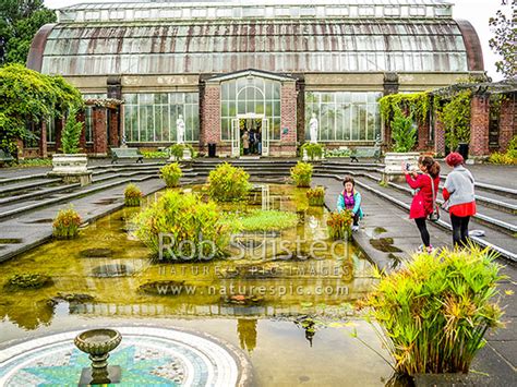 The Domain Wintergardens Or Winter Garden At The Auckland Domain