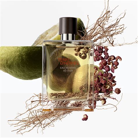 TERRE D’HERMÈS EAU INTENSE VÉTIVER parfum EDP online prijzen HERMÈS ...