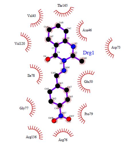 Binding Model Of Compound 4c For The Best Docked Pose In The DNA Gyrase