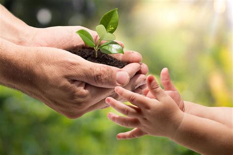 Acciones Sustentables Para El Medio Ambiente Parques Alegres I A P