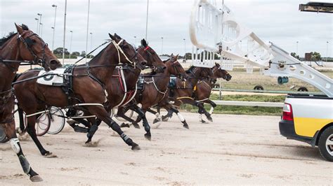 Strathalbyn Sa Botra