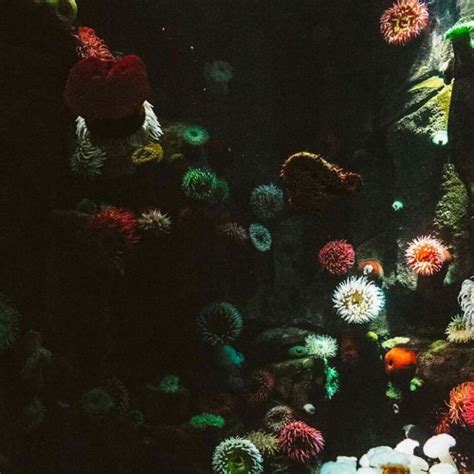 Stream Half Naked Thalassic Humanoids Standard By EndTheCliche Listen Online For Free