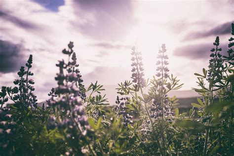 Wandern in Europas schönsten Landschaften