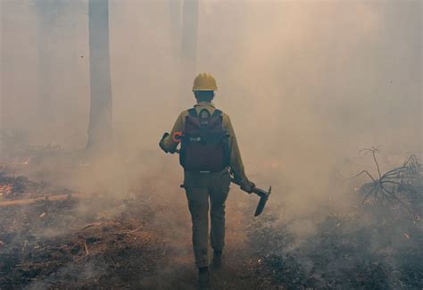 How to Save a Forest by Burning It – NY Times | CLEWS GROUP UC IRVINE