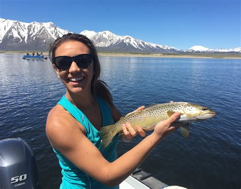 Crowley Lake Fish Report - Mammoth Lakes, CA (Mono County)