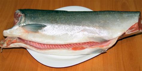Кижуч соленый в домашних условиях, вкусные рецепты