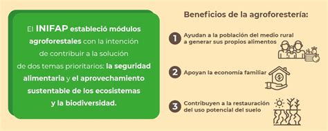 Sistemas Agroforestales Alternativa Multifuncional De Vida