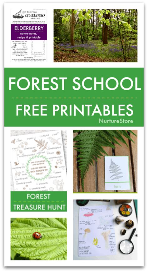 Free Printables For Forest School Easy Forest School Activities