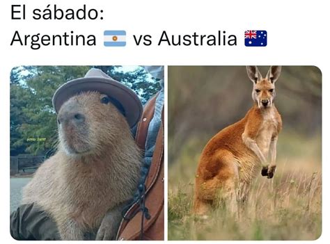 El S Bado Argentina Vs Australia Memes