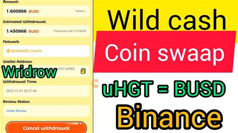 Wild Cash Wridrow Process Binance Uhgt Coin Swap Busd Binance App Youtube