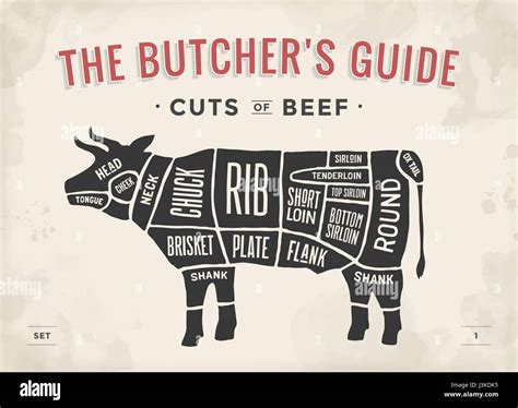 Cut Of Beef Set Poster Butcher Diagram And Scheme Cow Vintage Typographic Hand Drawn Vector