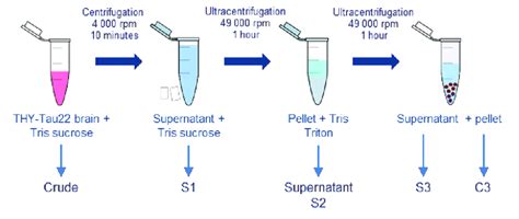 Représentation schématique des étapes de fractionnement utilisées pour