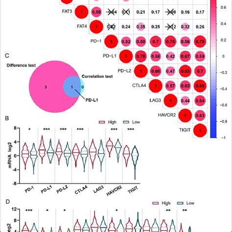 Correlation Of Immune Checkpoint Related Genes With FAT2 Expression In