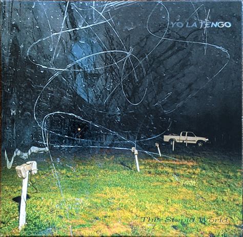 Yo La Tengo This Stupid World 2 X Vinyl Lp Album 2 More 2023 [r26020291] Discogs