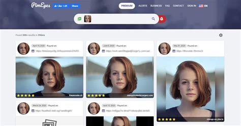 14 Best Facial Recognition Search Engines How To Use It