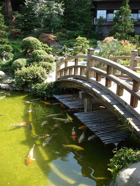 Japanese Garden Bridge Ideas - The Architect