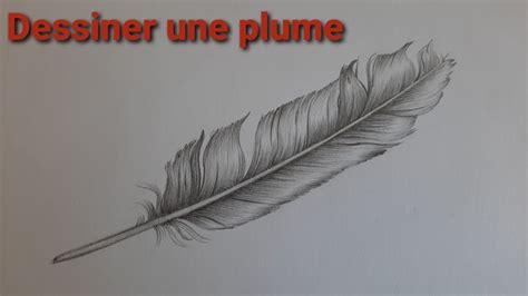 Comment Dessiner Une Plume Tape Par Tape Crayon Youtube