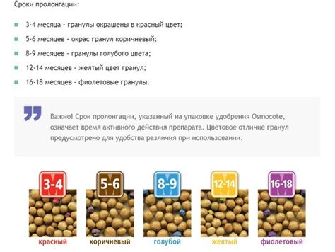 Секретное удобрение. Вносим в почву и год отдыхаем | Земляничная поляна ...