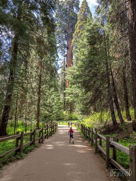 Kings Canyon National Park with Kids - Adventuring Beyond | Kings ...