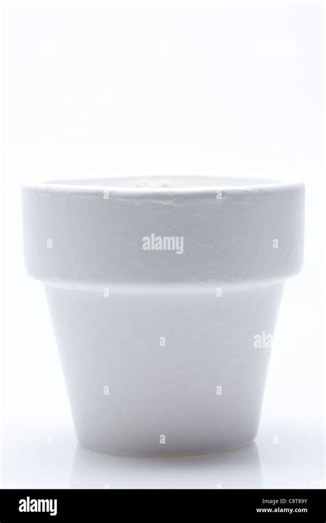white pot plant  white background stock photo alamy
