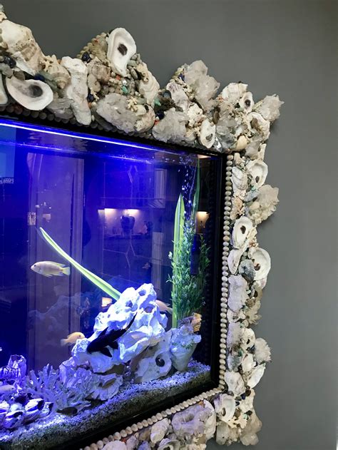 Custom Aquarium Installation — Connie Chantilis Design