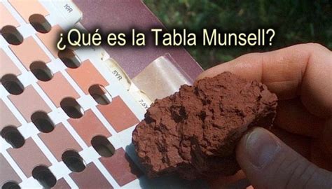 Qu Es La Tabla Munsell Infoagronomo