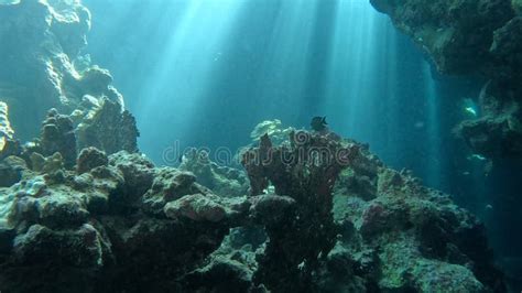 Beautiful Underwater Cave Scenery with Sunrays Stock Photo - Image of ...