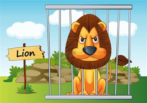 Lion In Cage Stock Vector Illustration Of Captivity 26112497