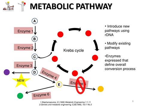 Ppt Metabolic Engineering Microorganisms As Tools In Chemistry