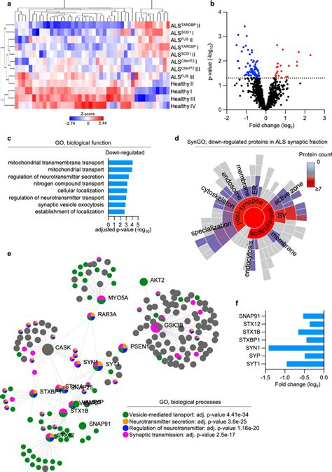 Synaptic Proteome From Hipsc Derived Mns Highlights Presynaptic