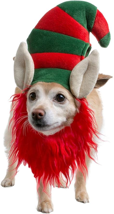 Elf Dog Christmas Holiday Costume Cute For Christmas Christmas