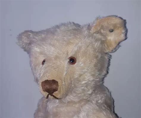 STEIFF TEDDY BÄR 1910 15 60 cm mohair weiss Knopf mohairverlust Rarität