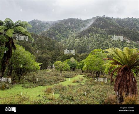 Shrubland Hi Res Stock Photography And Images Alamy