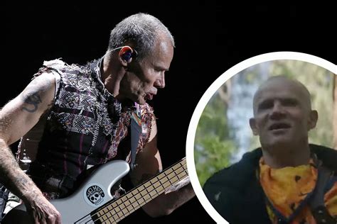 Red Hot Chili Peppers A Video Retrospective