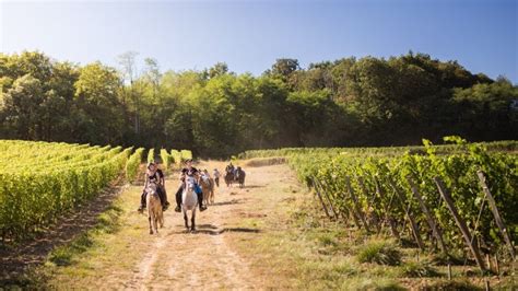 Saumur - Loire Wine Region | Wine-Searcher