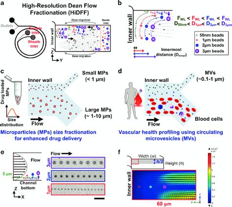 Particle Separation Using Hidff A Schematic Illustration Of The