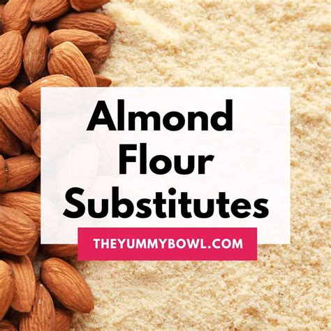 Almond Flour Substitutes Best Alternatives Explained