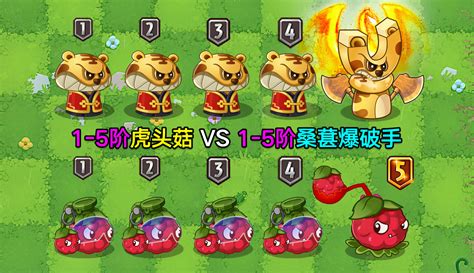 【庄先森解说】15阶虎头菇vs15阶桑葚爆破手！毒王争霸，桑葚惨败？ 42万粉丝117 点赞期待你的评论 游戏视频 免费在线观看 爱奇艺