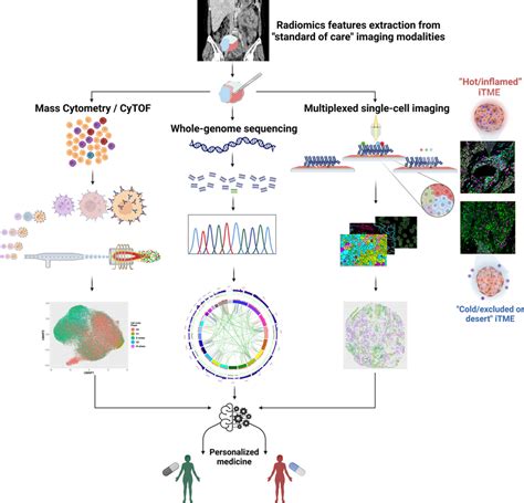 Multimodal biomarkers—personalized medicine for women with HGSOC. A ...